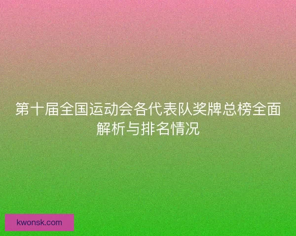第十届全国运动会各代表队奖牌总榜全面解析与排名情况